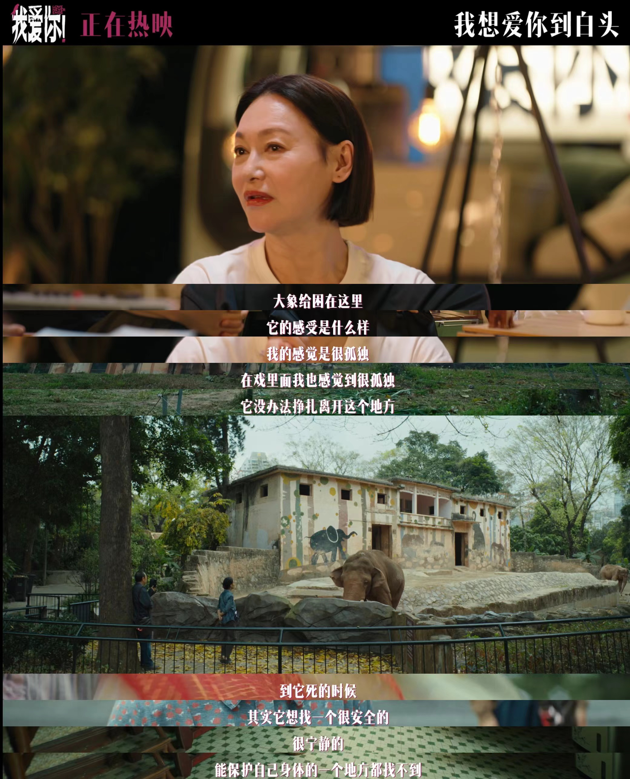 倪妮和倪大红是父女吗__倪大红主演的谍战片